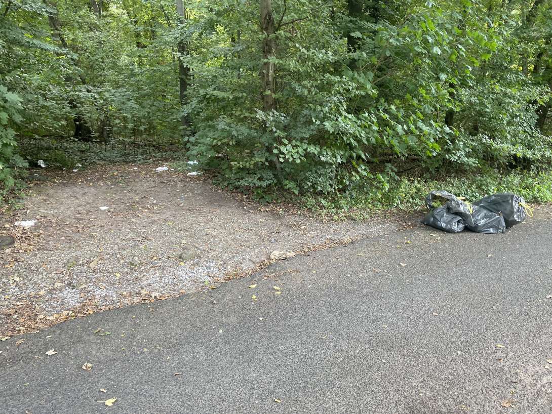 Bild zu gemeldetem Anliegen vom *2025-09-23 16:22:39