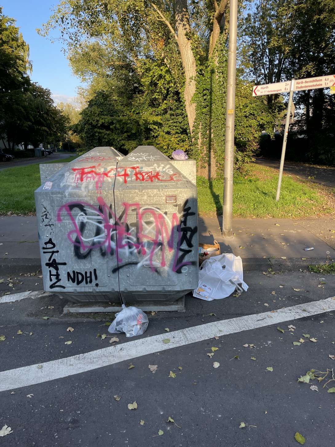 Bild zu gemeldetem Anliegen vom *2025-09-28 18:44:22