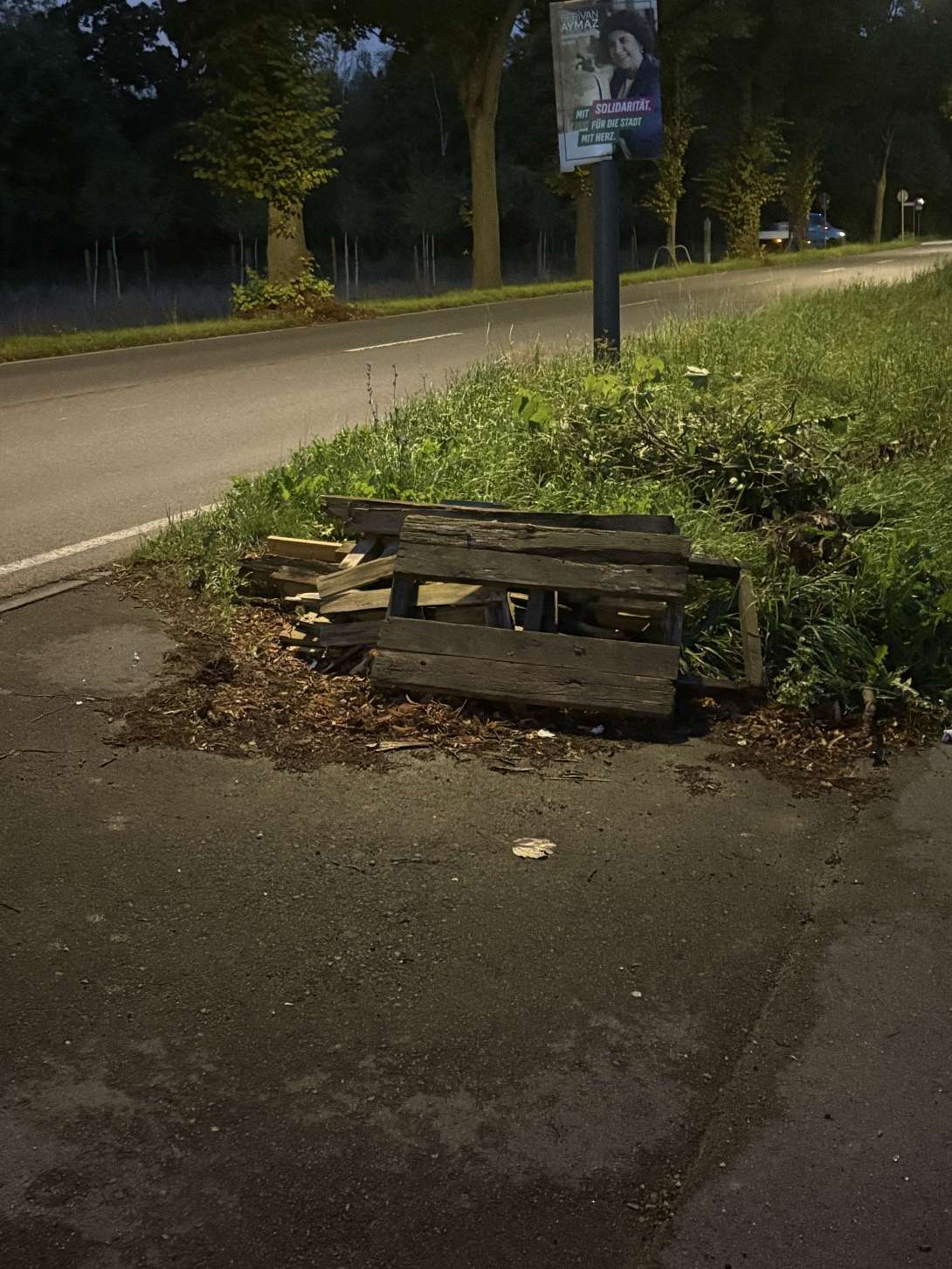 Bild zu gemeldetem Anliegen vom *2025-09-26 12:33:16