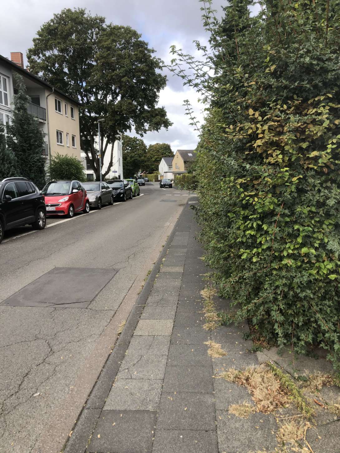 Bild zu gemeldetem Anliegen vom *2025-09-21 11:21:11