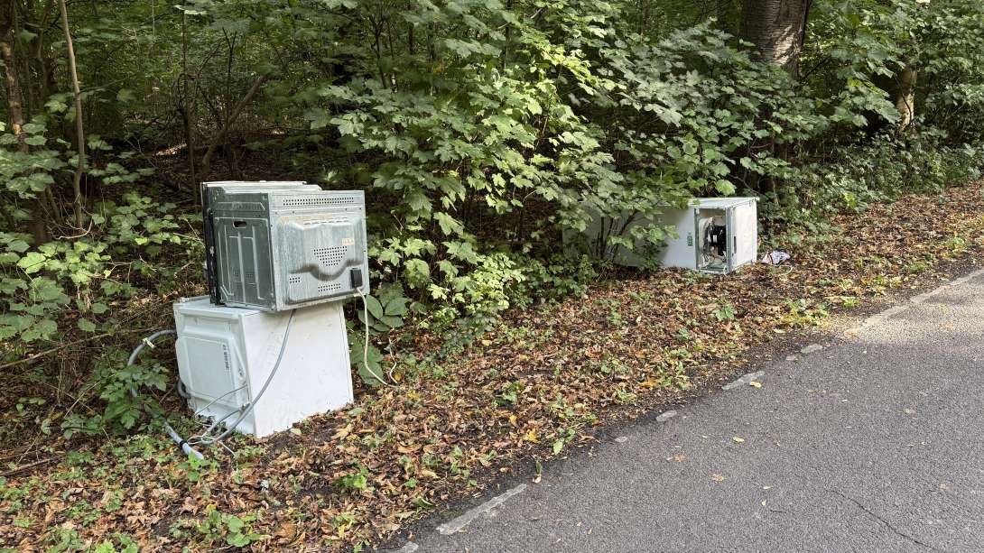 Bild zu gemeldetem Anliegen vom *2025-09-15 12:28:34