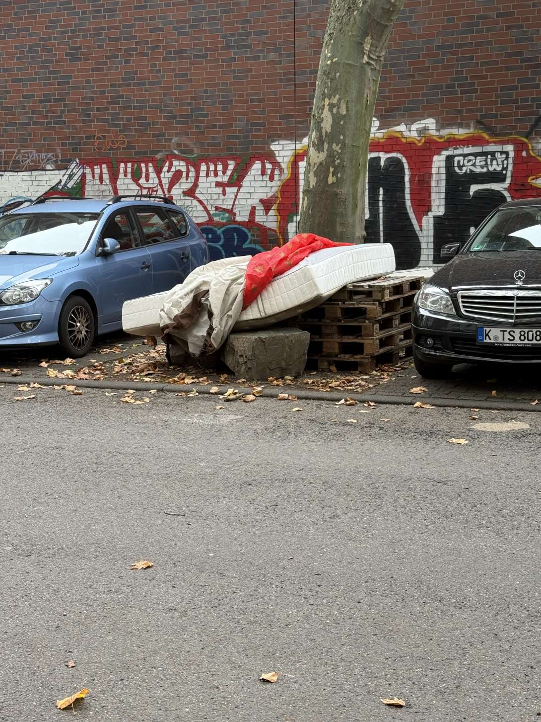 Bild zu gemeldetem Anliegen vom *2025-09-23 09:04:02