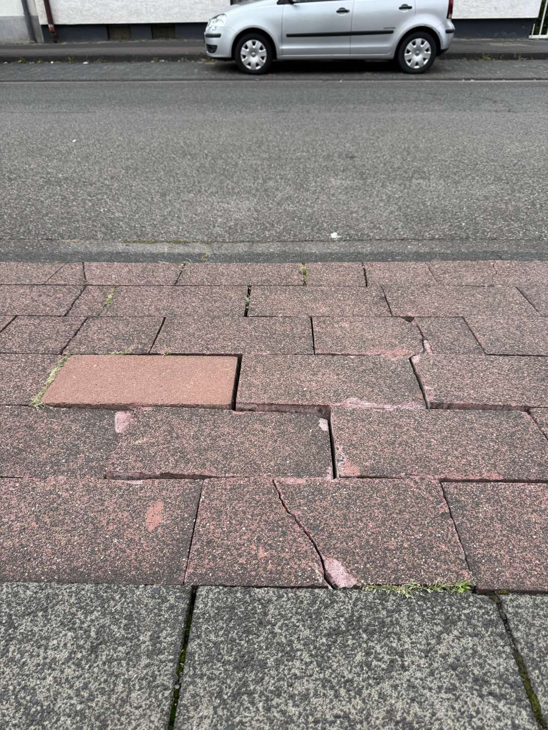 Bild zu gemeldetem Anliegen vom *2025-09-03 16:56:48