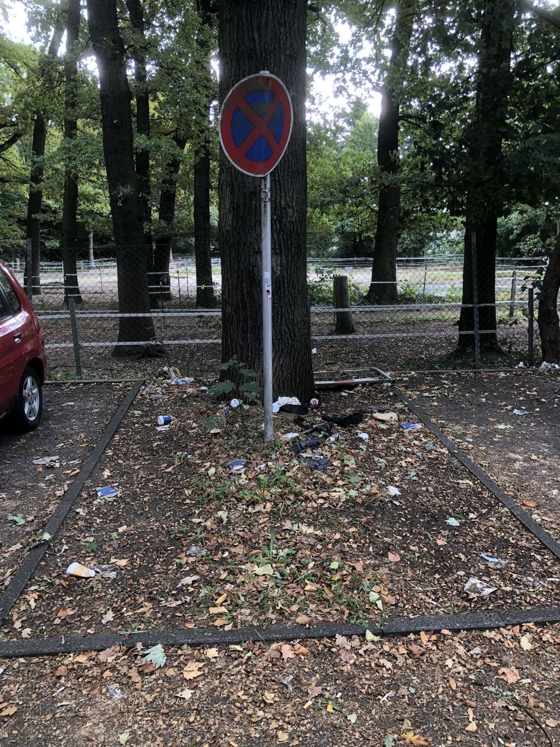 Bild zu gemeldetem Anliegen vom *2025-09-22 14:40:44