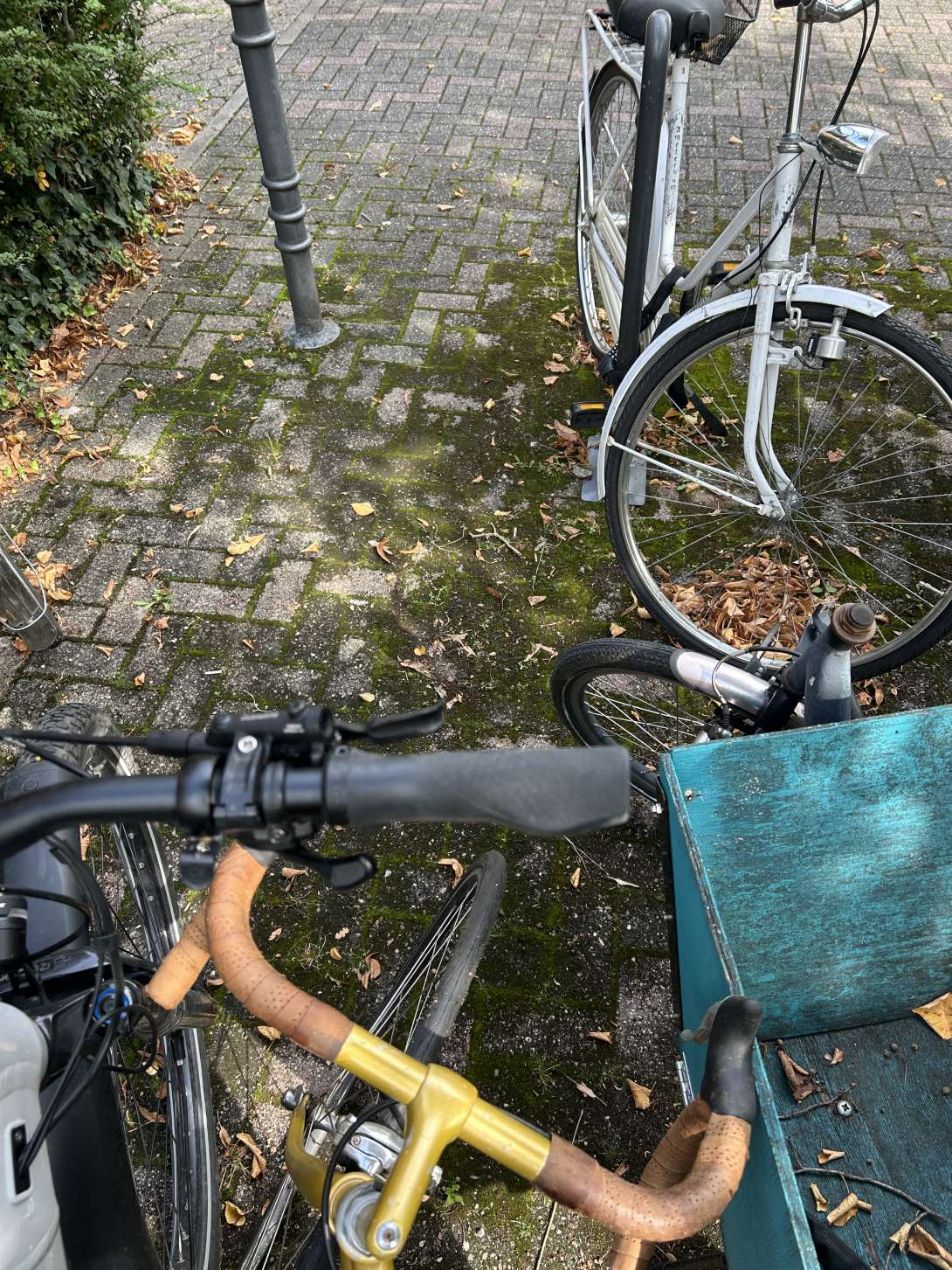 Bild zu gemeldetem Anliegen vom *2025-09-24 09:14:10