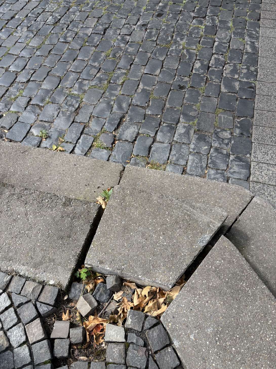 Bild zu gemeldetem Anliegen vom *2025-09-02 18:29:11