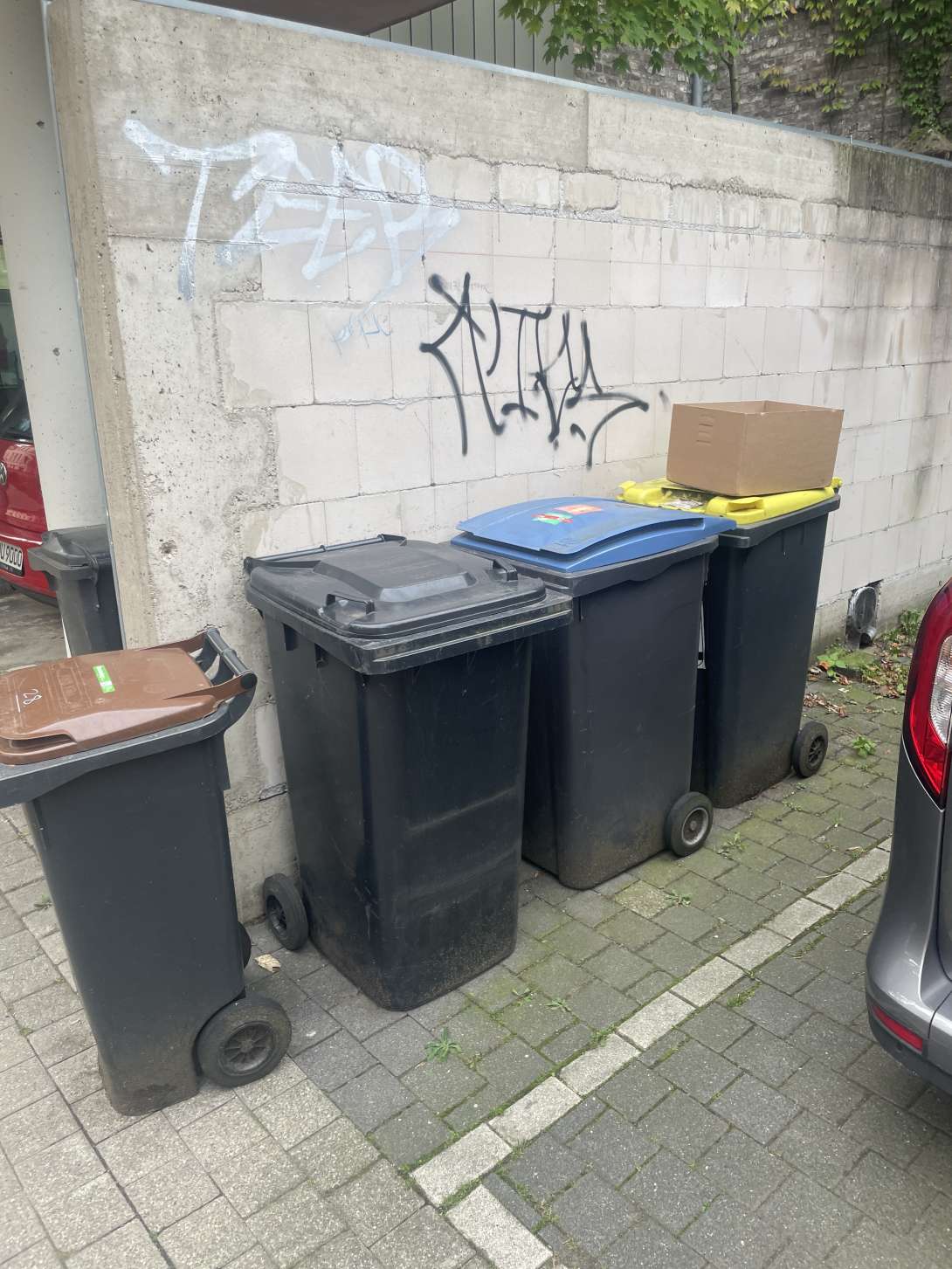Bild zu gemeldetem Anliegen vom *2025-09-24 14:35:51