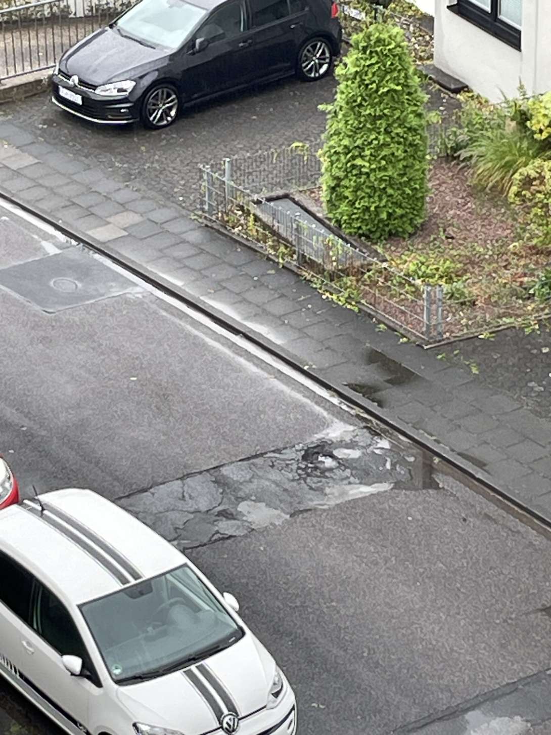 Bild zu gemeldetem Anliegen vom *2025-09-09 14:12:01