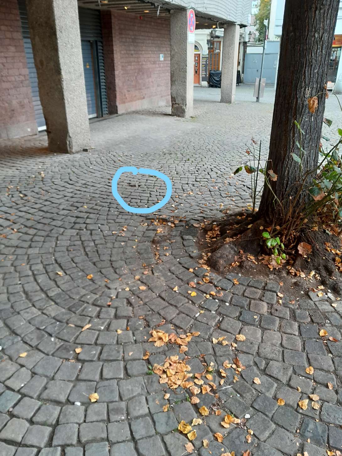 Bild zu gemeldetem Anliegen vom *2025-09-23 09:42:54