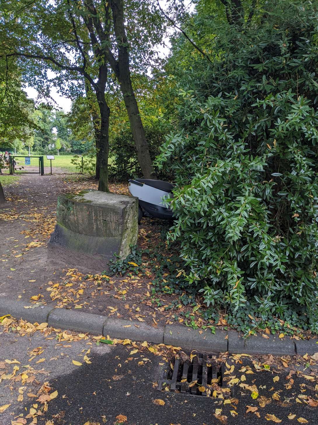 Bild zu gemeldetem Anliegen vom *2025-09-03 15:55:35