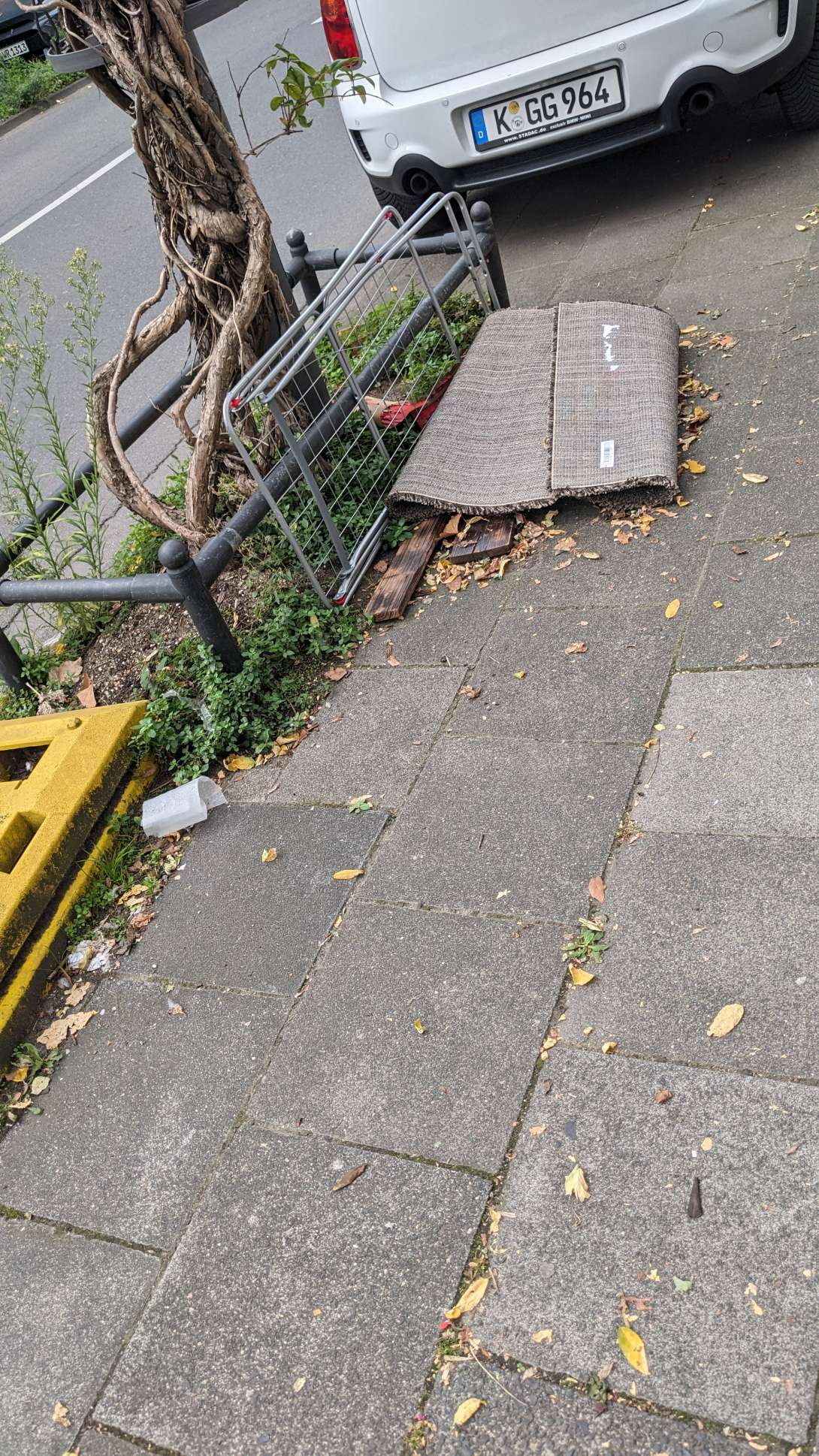 Bild zu gemeldetem Anliegen vom *2025-09-25 09:01:27