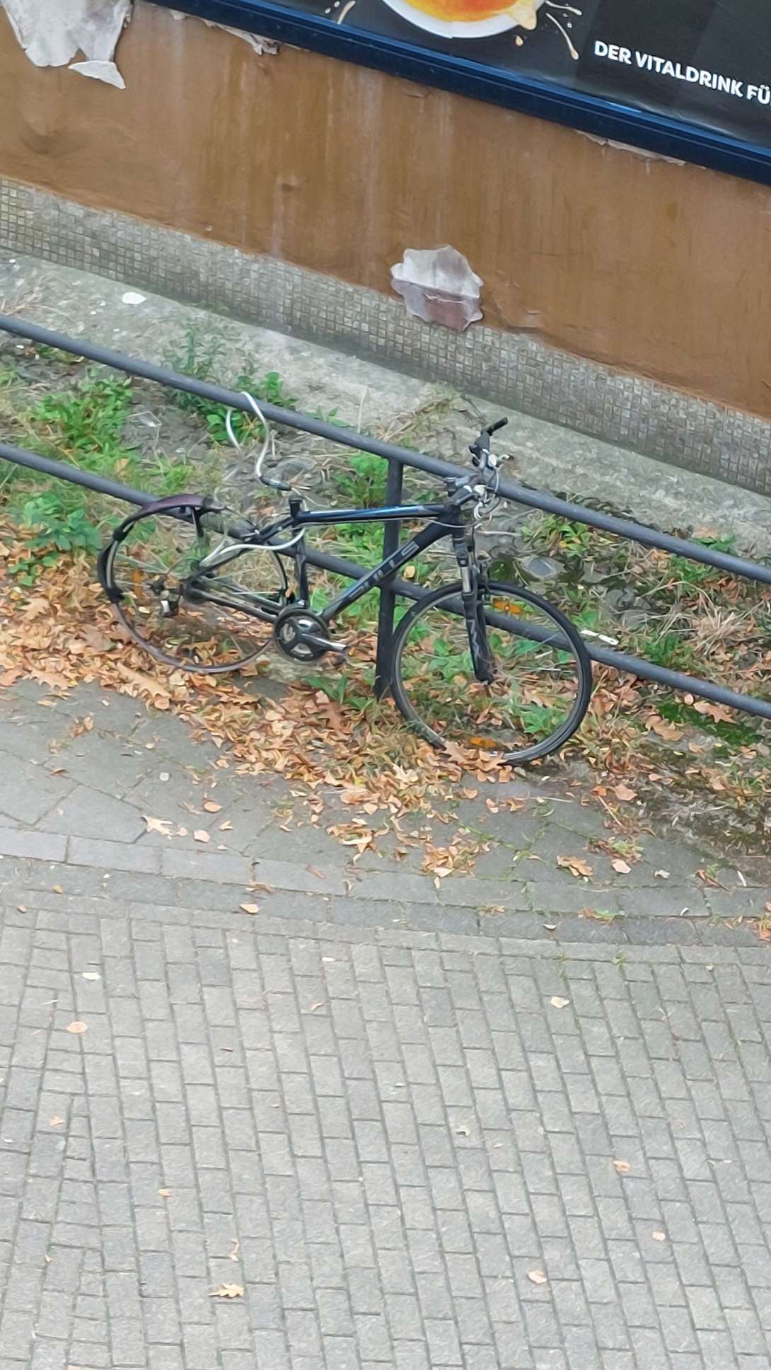Schrottfahrrad Niehler Damm 145 