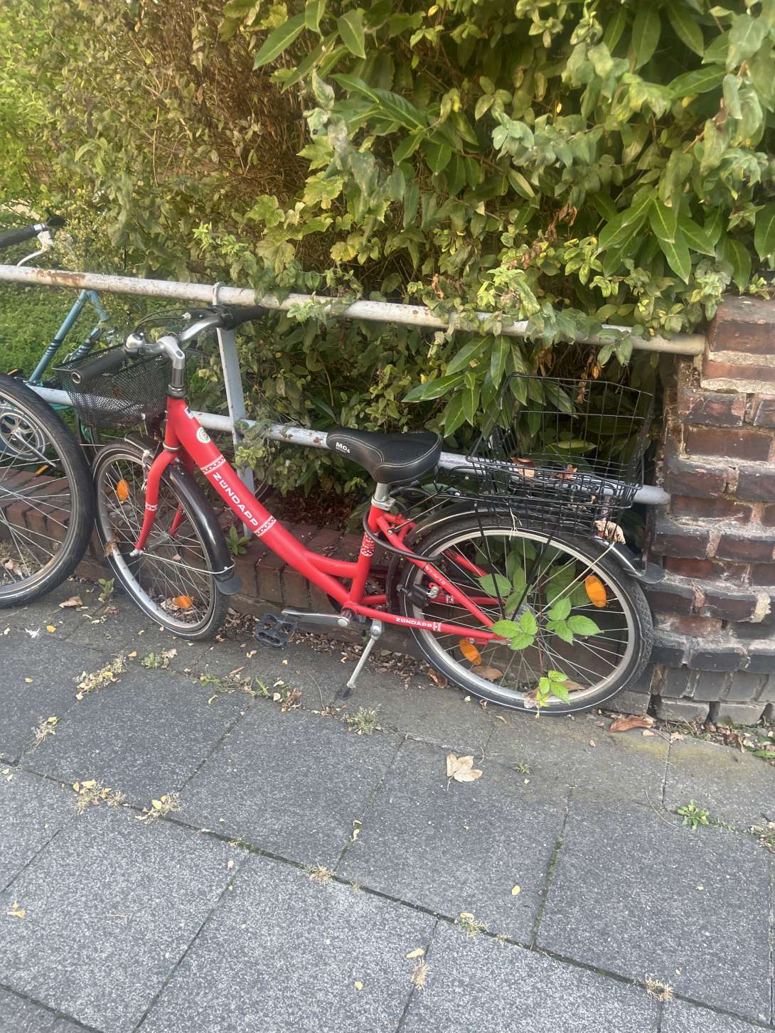 Bild zu gemeldetem Anliegen vom *2025-09-19 06:31:30
