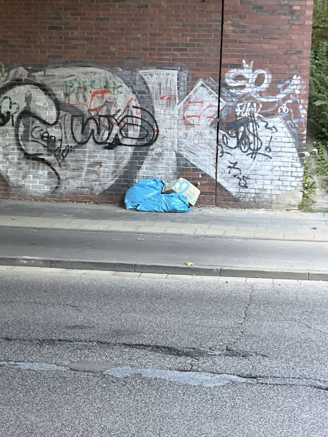 Bild zu gemeldetem Anliegen vom *2025-09-19 15:14:20