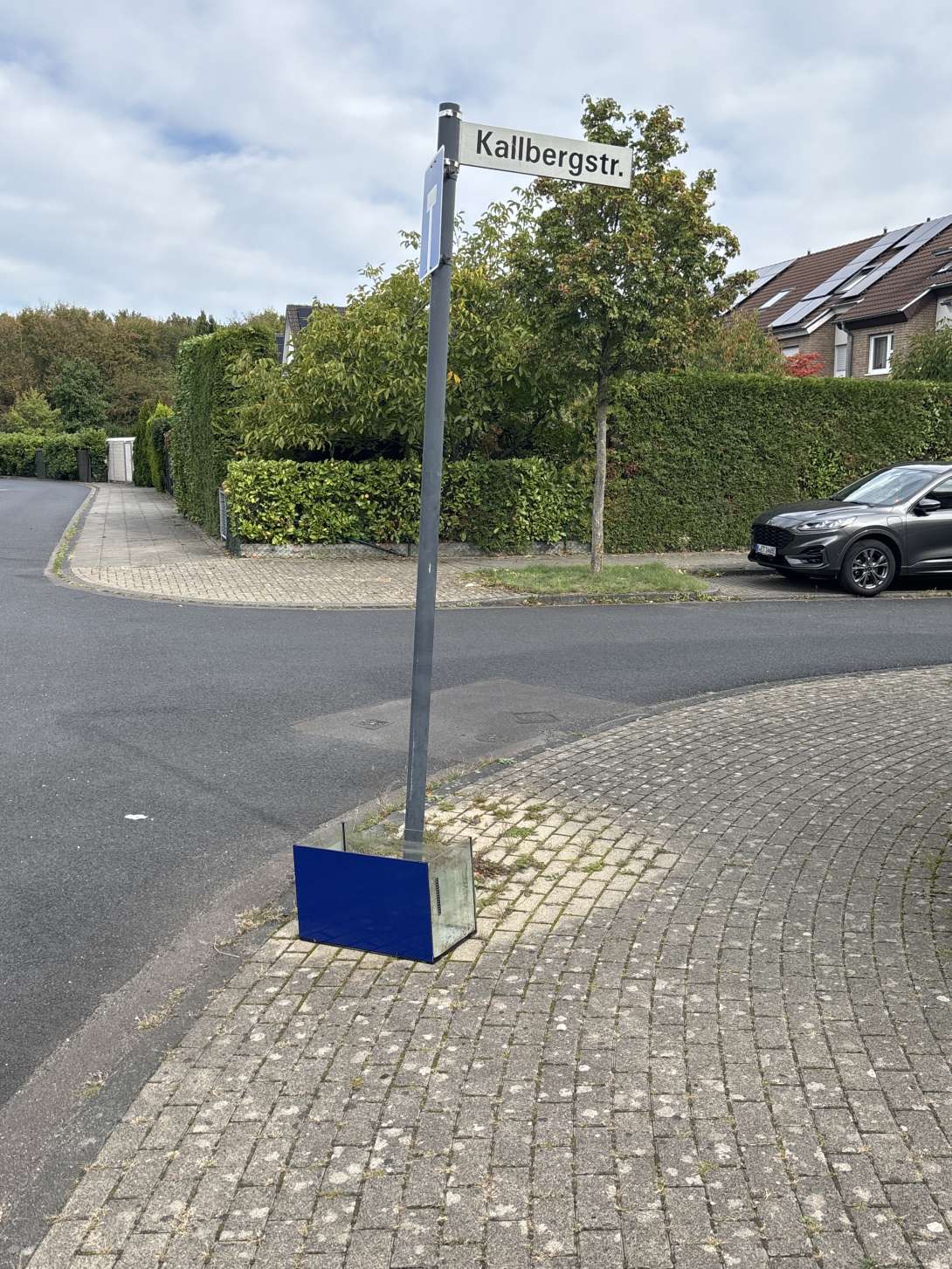Bild zu gemeldetem Anliegen vom *2025-09-24 13:14:29