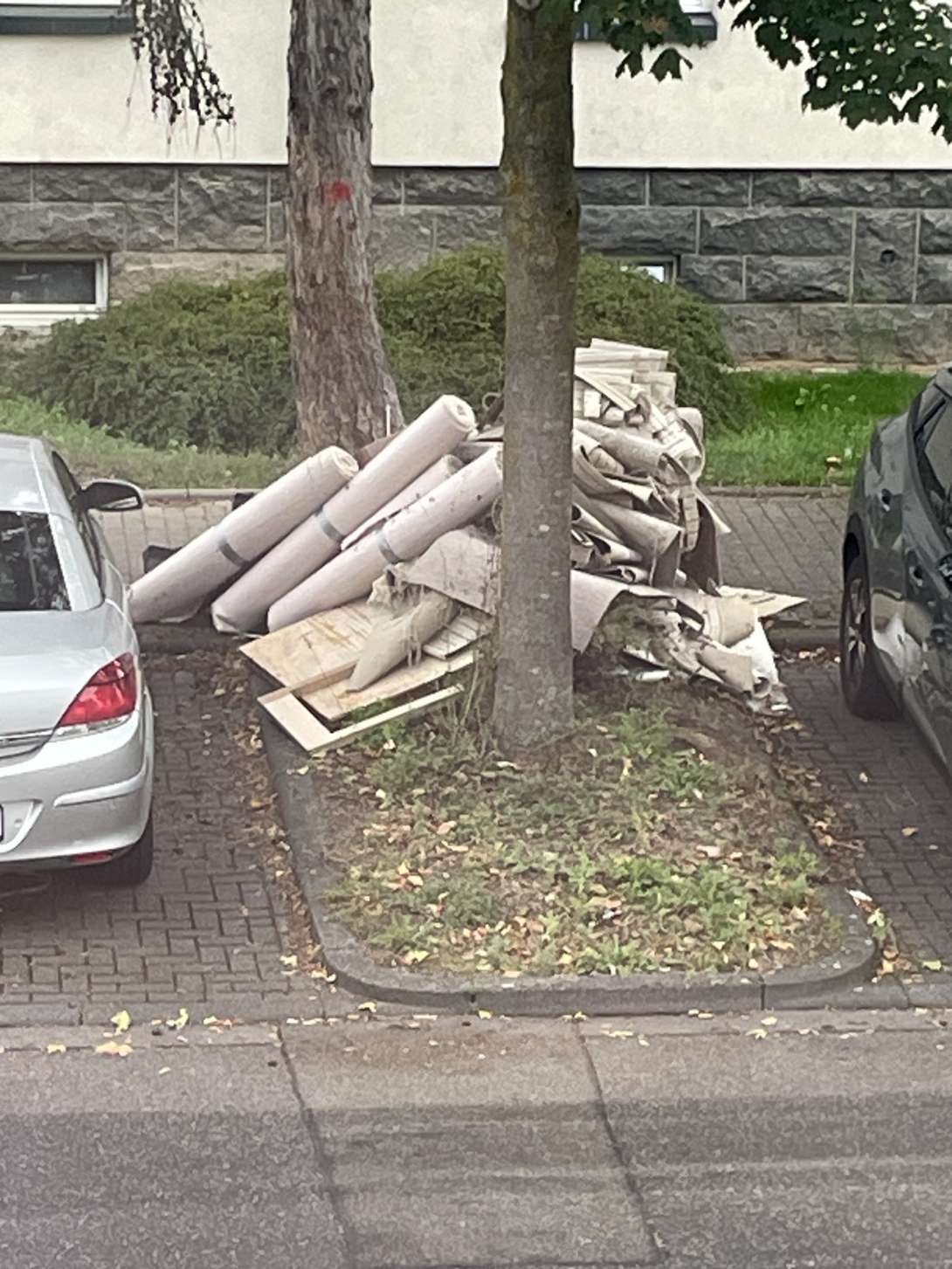 Bild zu gemeldetem Anliegen vom *2025-09-25 16:34:55