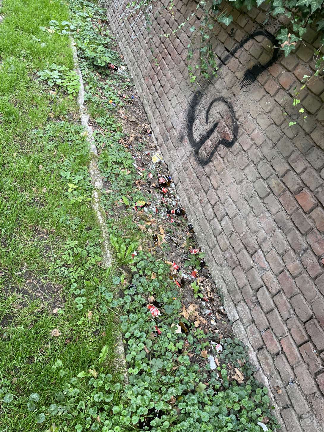 Bild zu gemeldetem Anliegen vom *2025-09-29 12:56:03