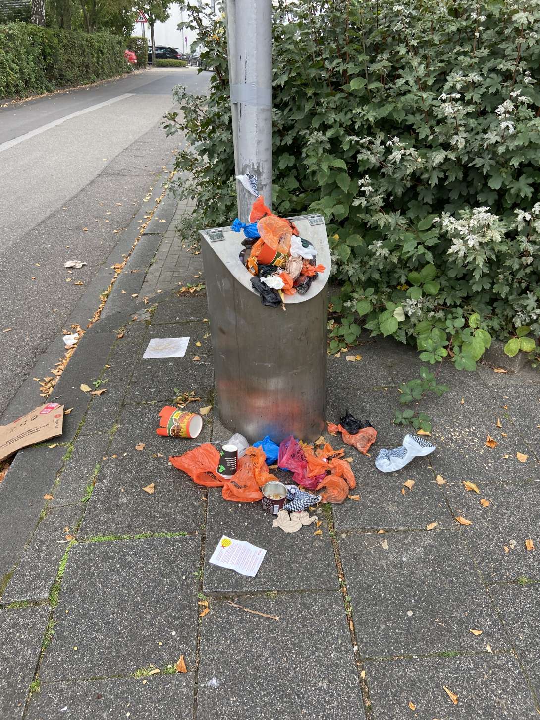 Bild zu gemeldetem Anliegen vom *2025-09-30 10:23:10