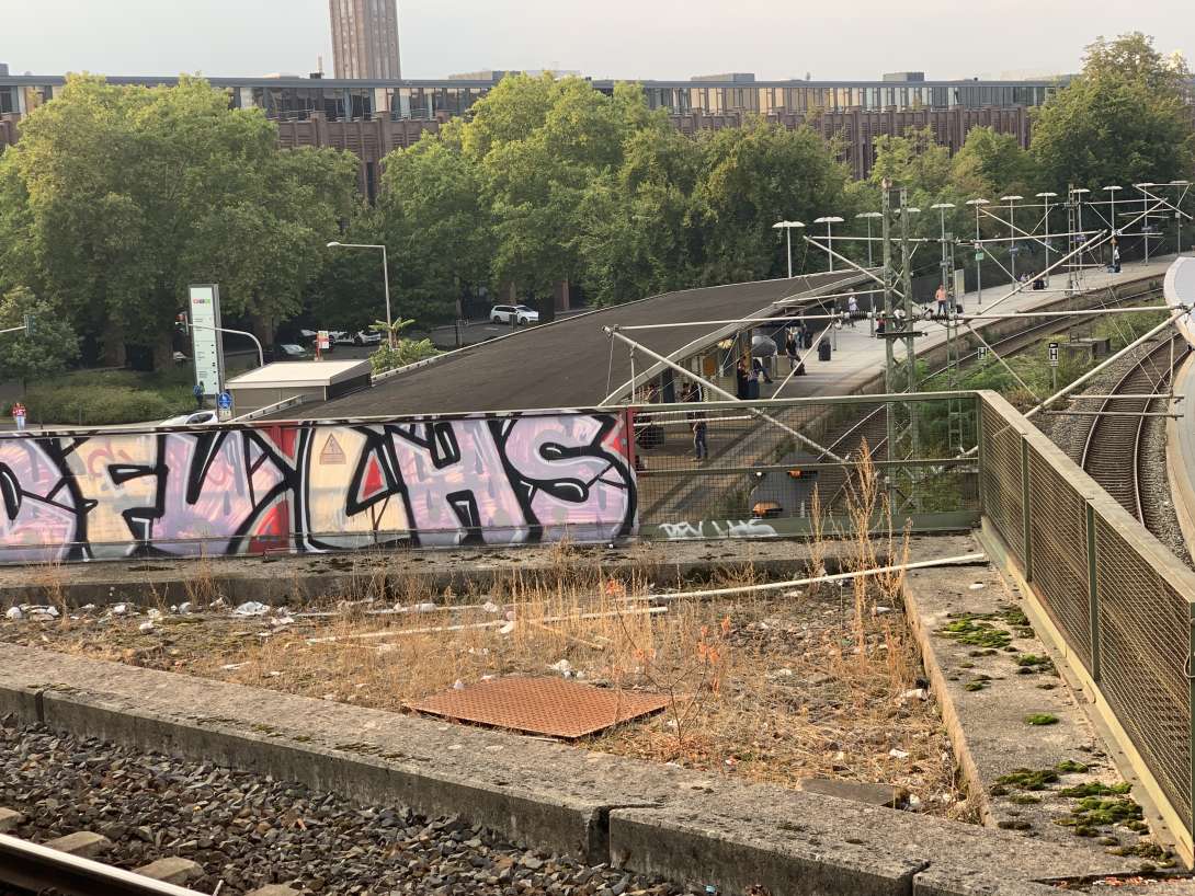 Bild zu gemeldetem Anliegen vom *2025-09-08 18:35:00