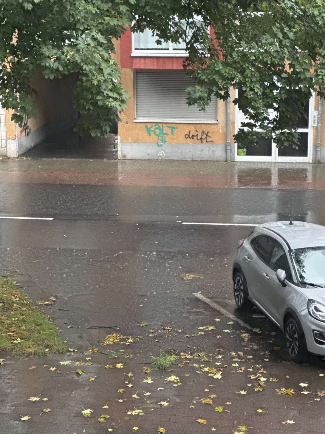 Bild zu gemeldetem Anliegen vom *2025-09-09 09:20:40