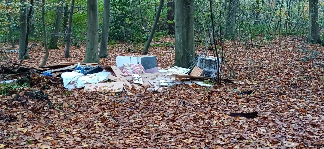 Bild zu gemeldetem Anliegen vom *2025-10-30 12:29:01