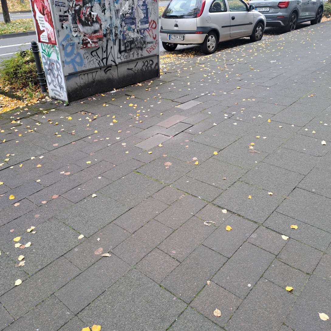 Bild zu gemeldetem Anliegen vom *2025-10-14 10:20:25
