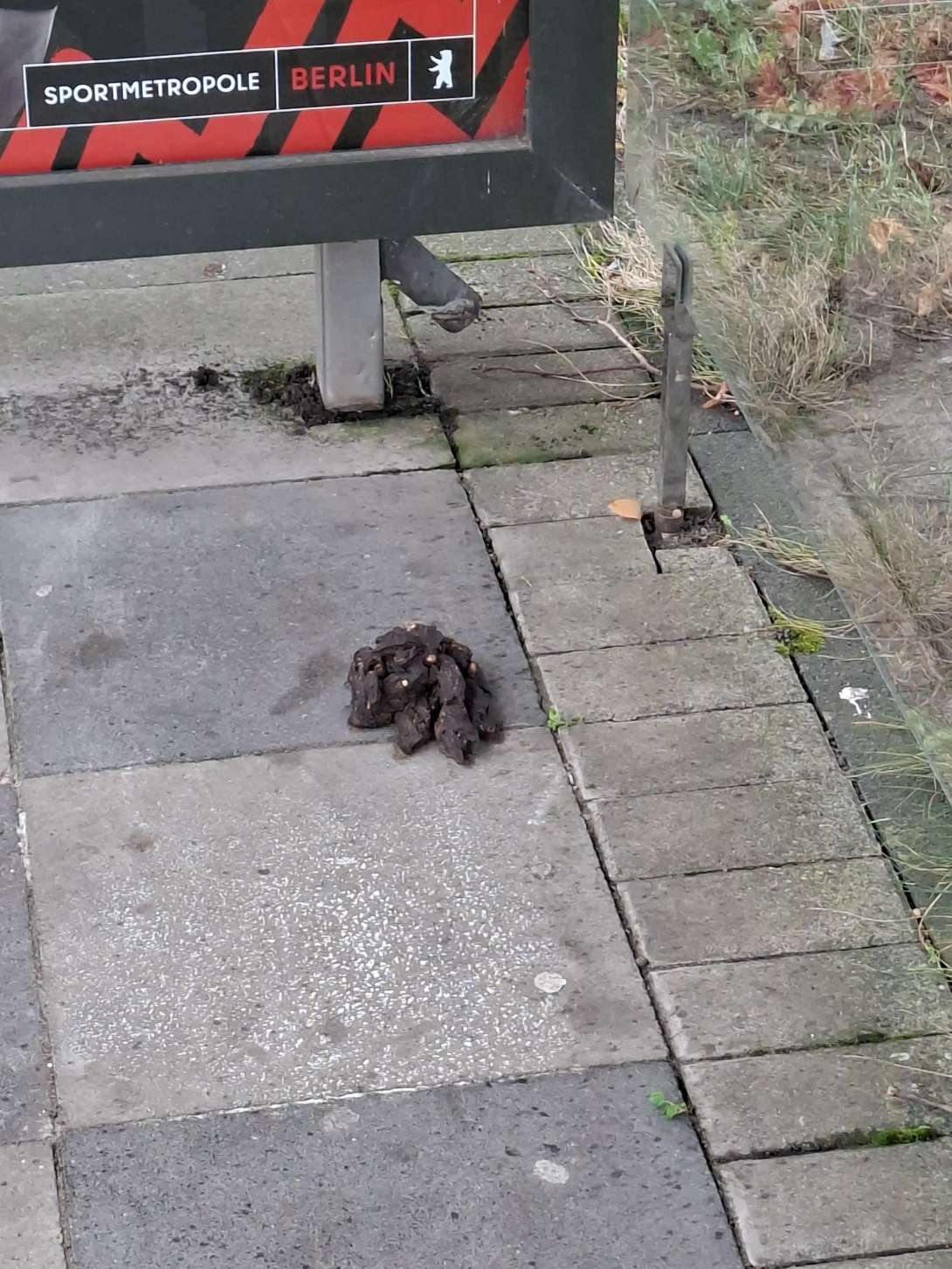 Bild zu gemeldetem Anliegen vom *2025-10-23 16:45:00