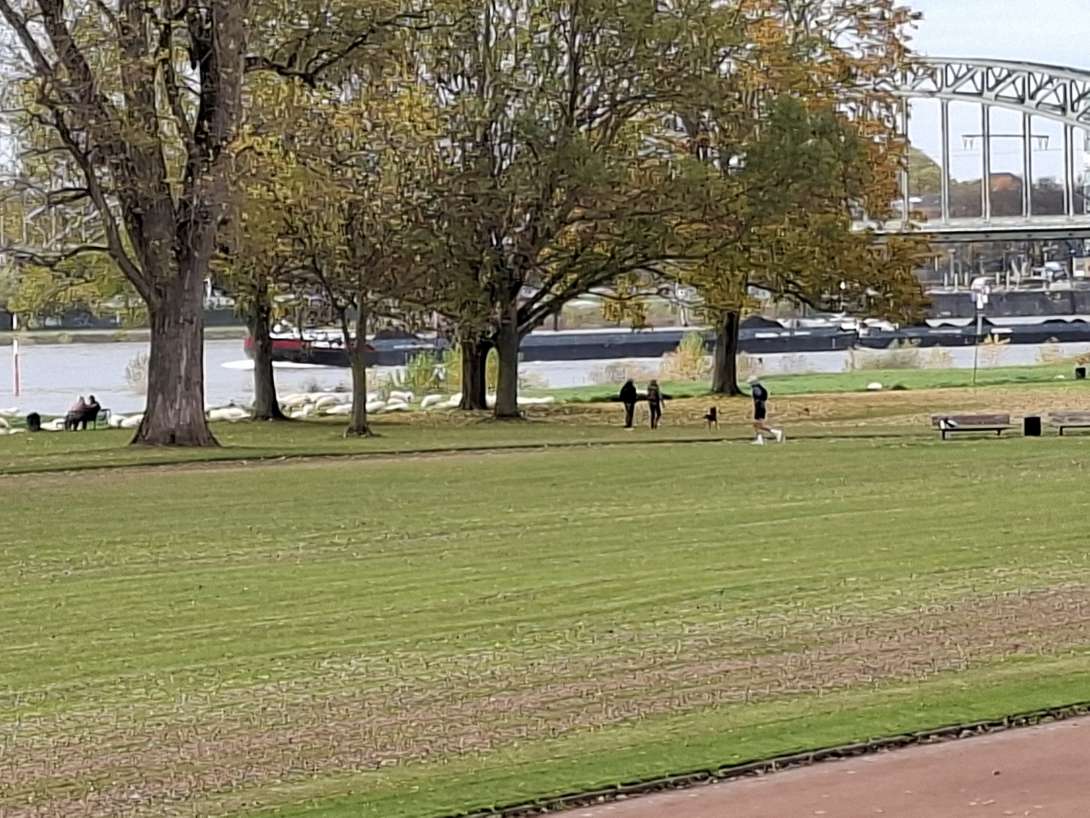 Bild zu gemeldetem Anliegen vom *2025-10-31 14:05:45