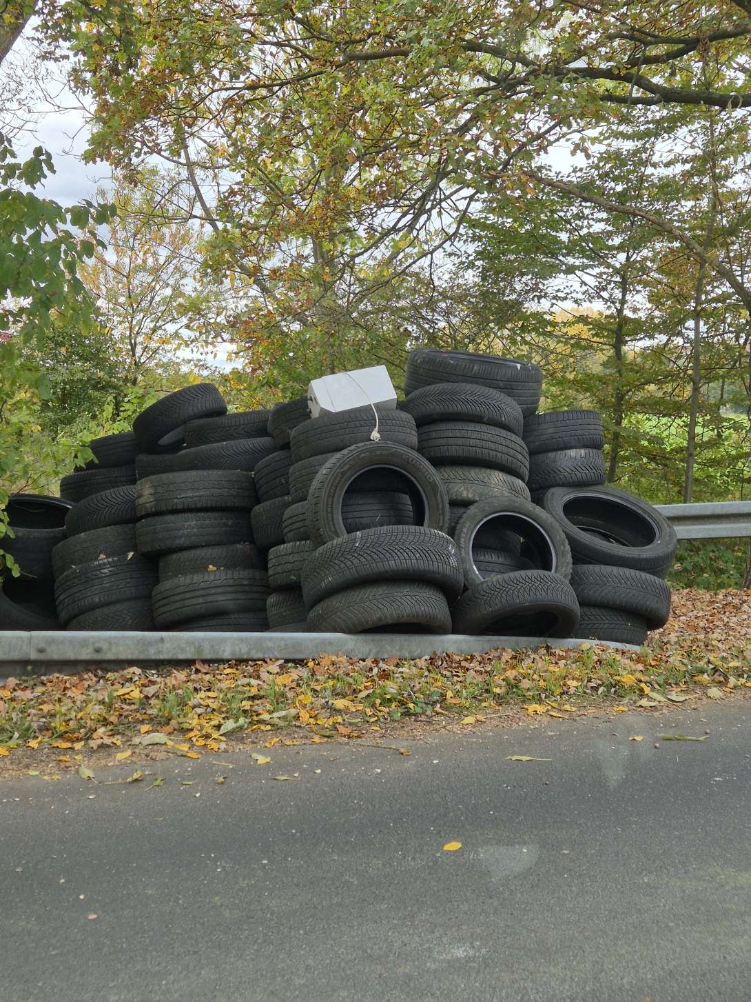 Bild zu gemeldetem Anliegen vom *2025-10-21 09:07:26