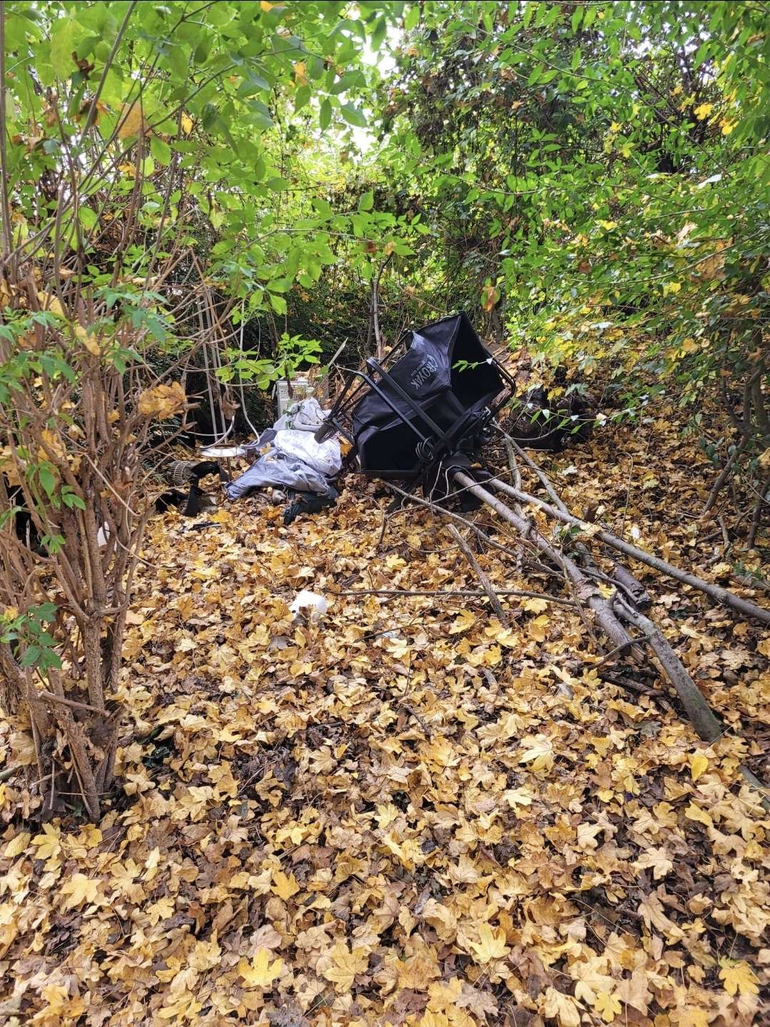 Bild zu gemeldetem Anliegen vom *2025-10-21 08:47:24