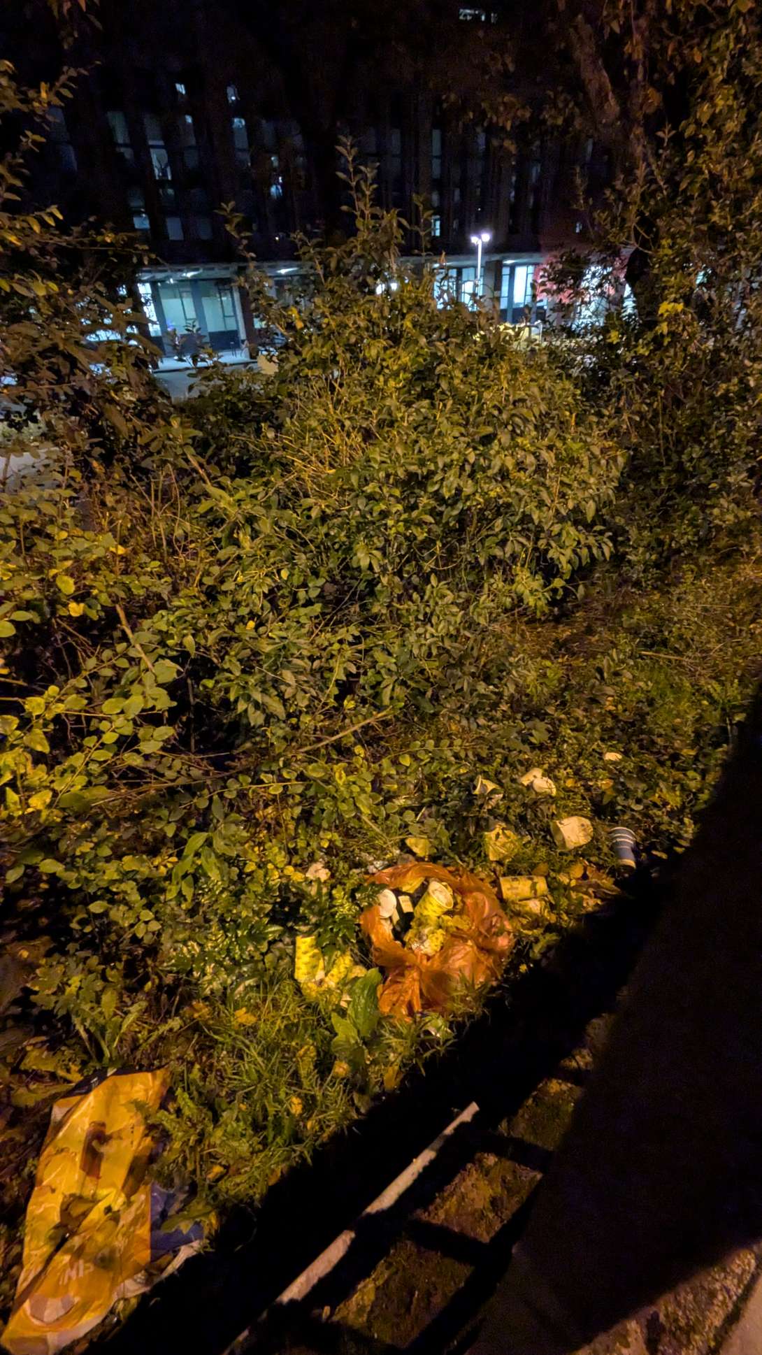 Bild zu gemeldetem Anliegen vom *2025-10-22 07:12:04