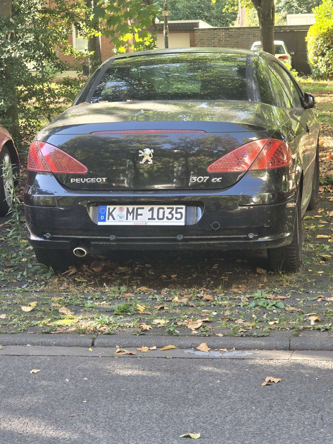 Bild zu gemeldetem Anliegen vom *2025-10-01 15:34:21
