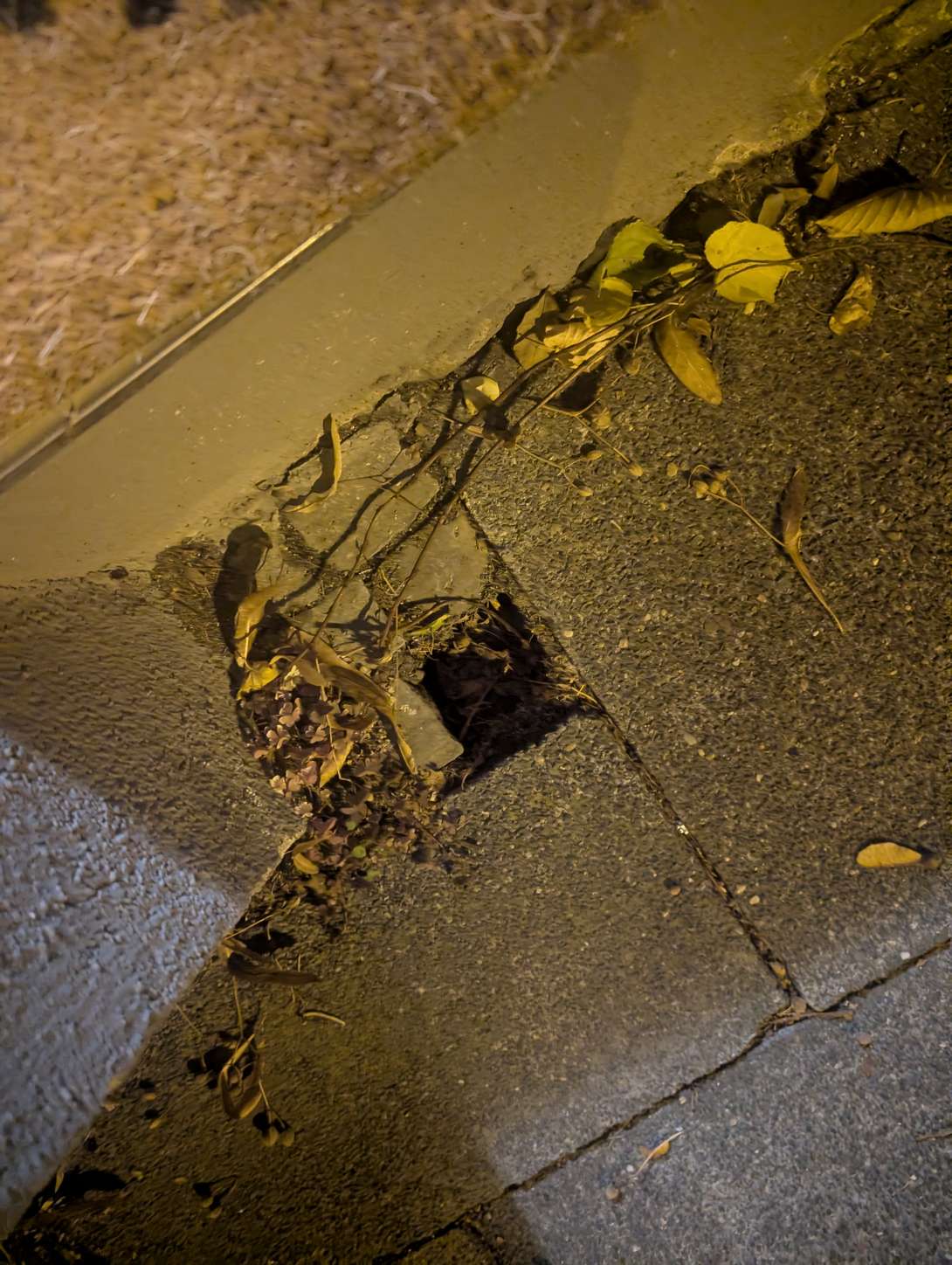 Bild zu gemeldetem Anliegen vom *2025-10-26 20:22:16