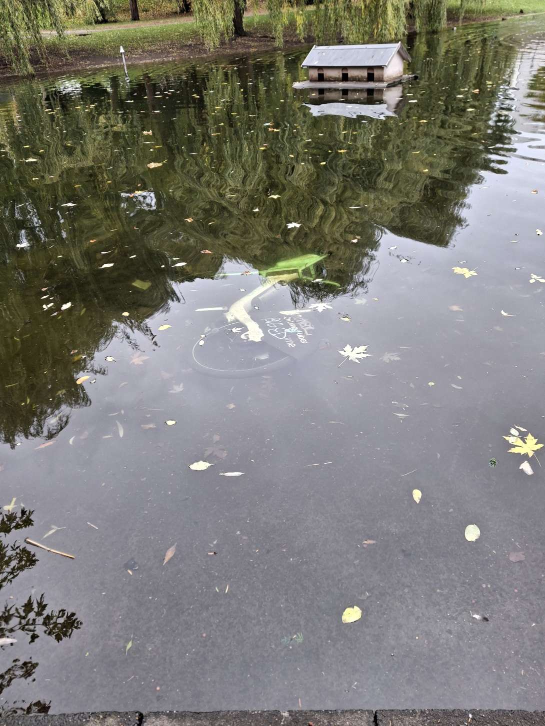 Bild zu gemeldetem Anliegen vom *2025-10-27 10:02:21