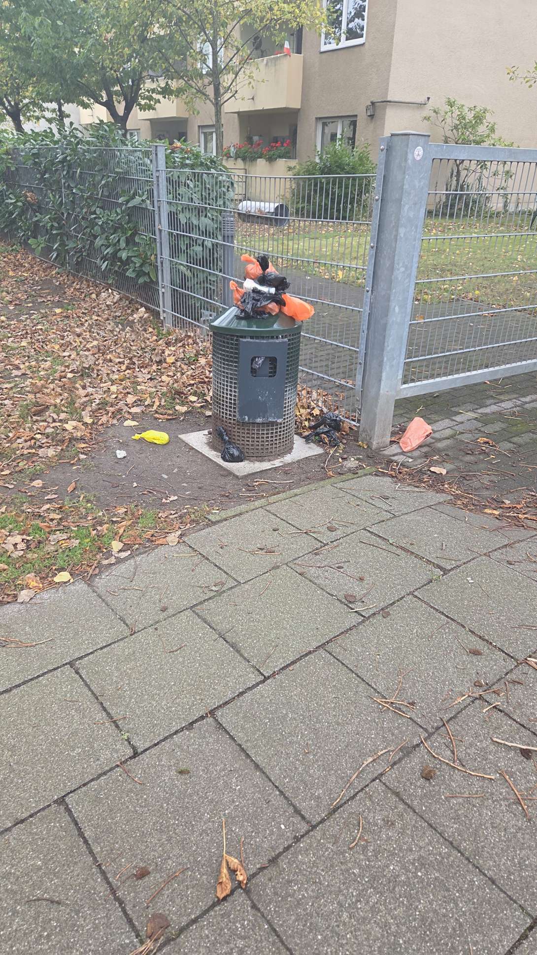 Bild zu gemeldetem Anliegen vom *2025-10-27 07:21:41