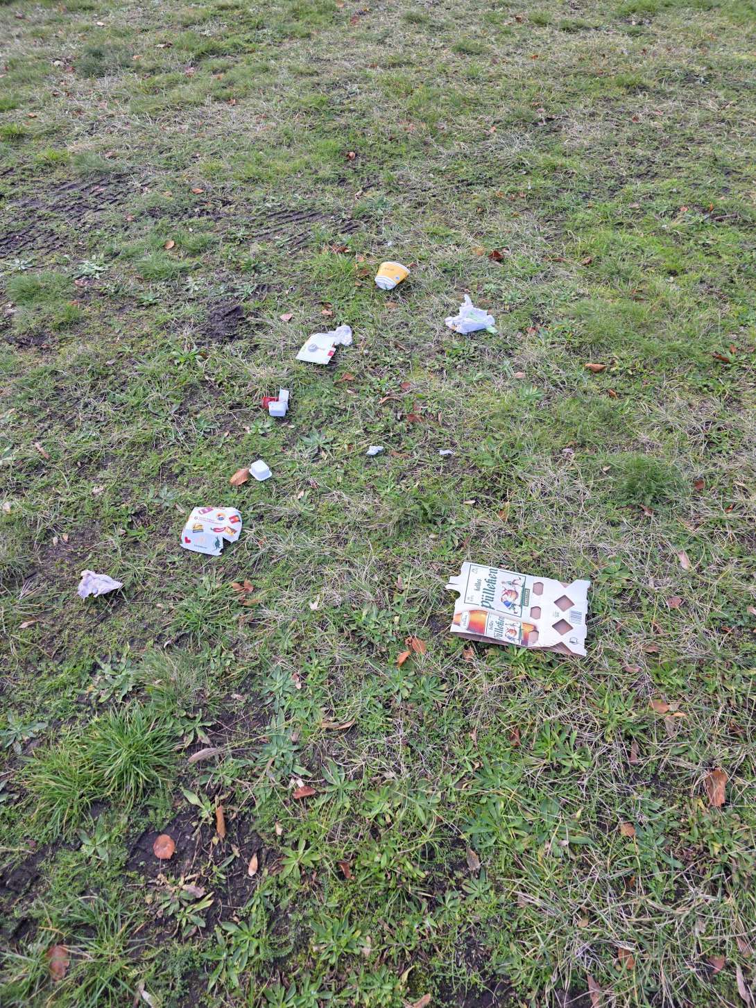 Bild zu gemeldetem Anliegen vom *2025-10-30 16:32:51