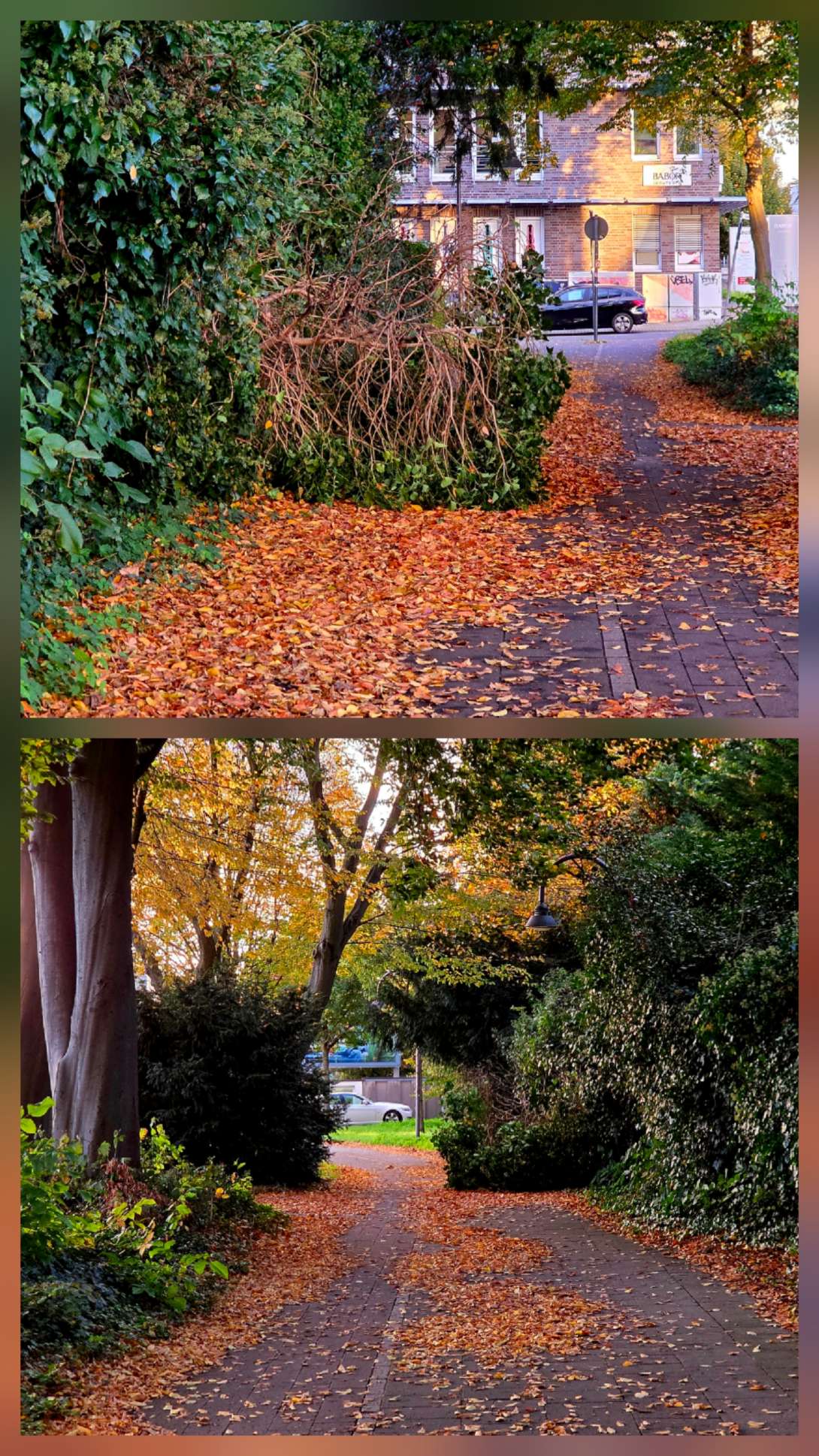 Bild zu gemeldetem Anliegen vom *2025-10-21 19:03:40