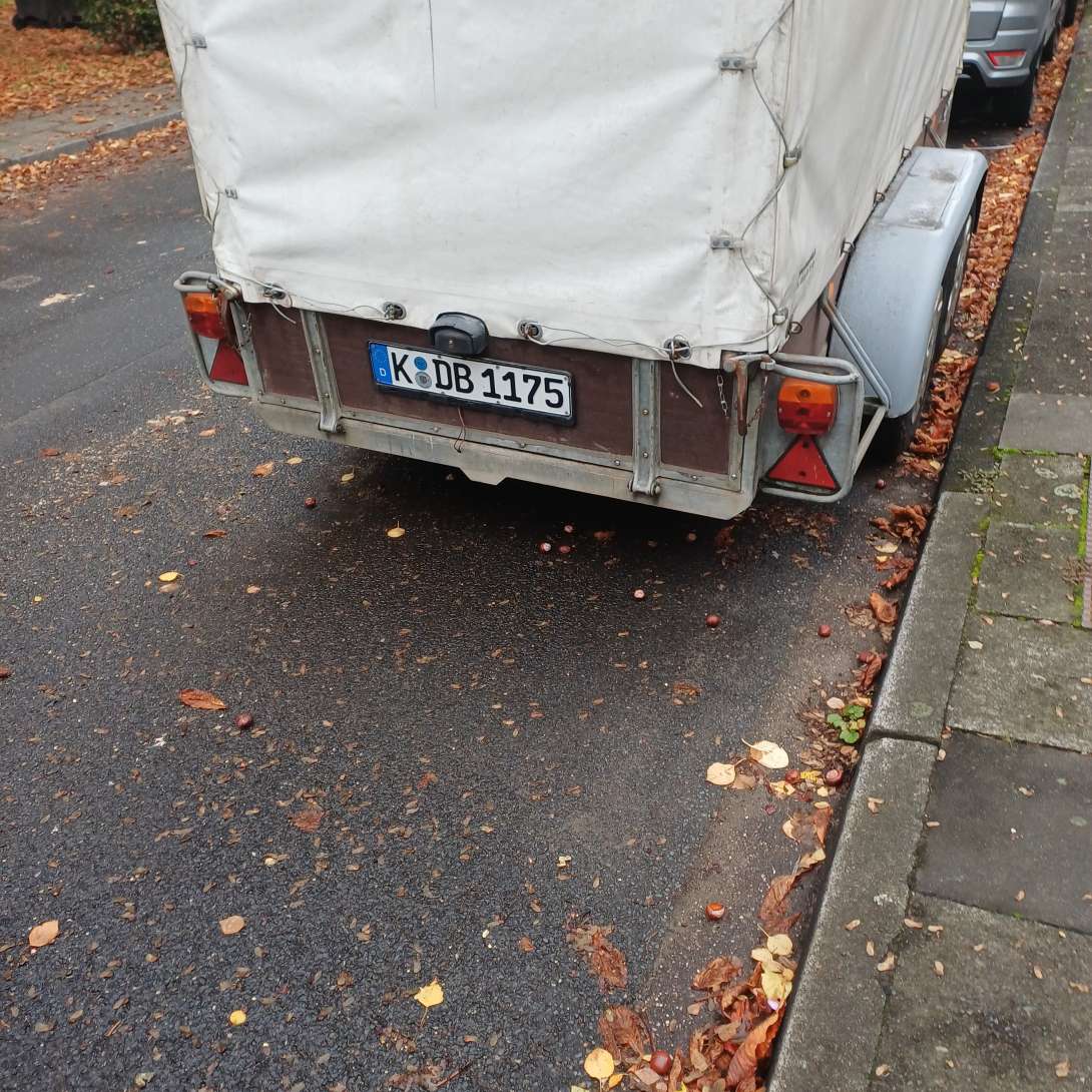 Bild zu gemeldetem Anliegen vom *2025-10-22 12:27:53