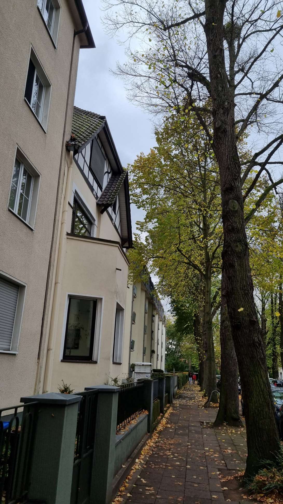 Bild zu gemeldetem Anliegen vom *2025-10-21 19:17:11