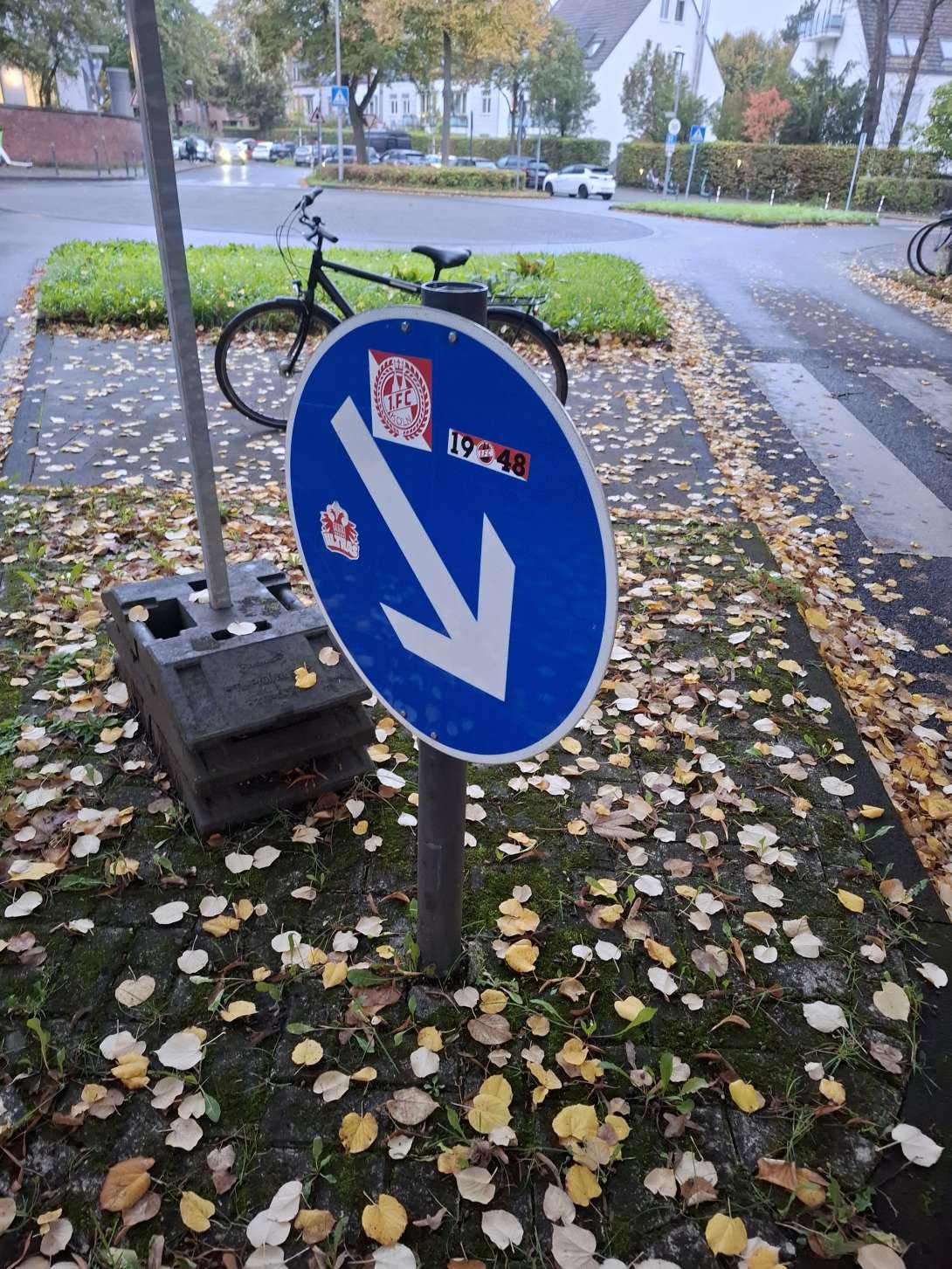 Bild zu gemeldetem Anliegen vom *2025-10-08 08:44:47