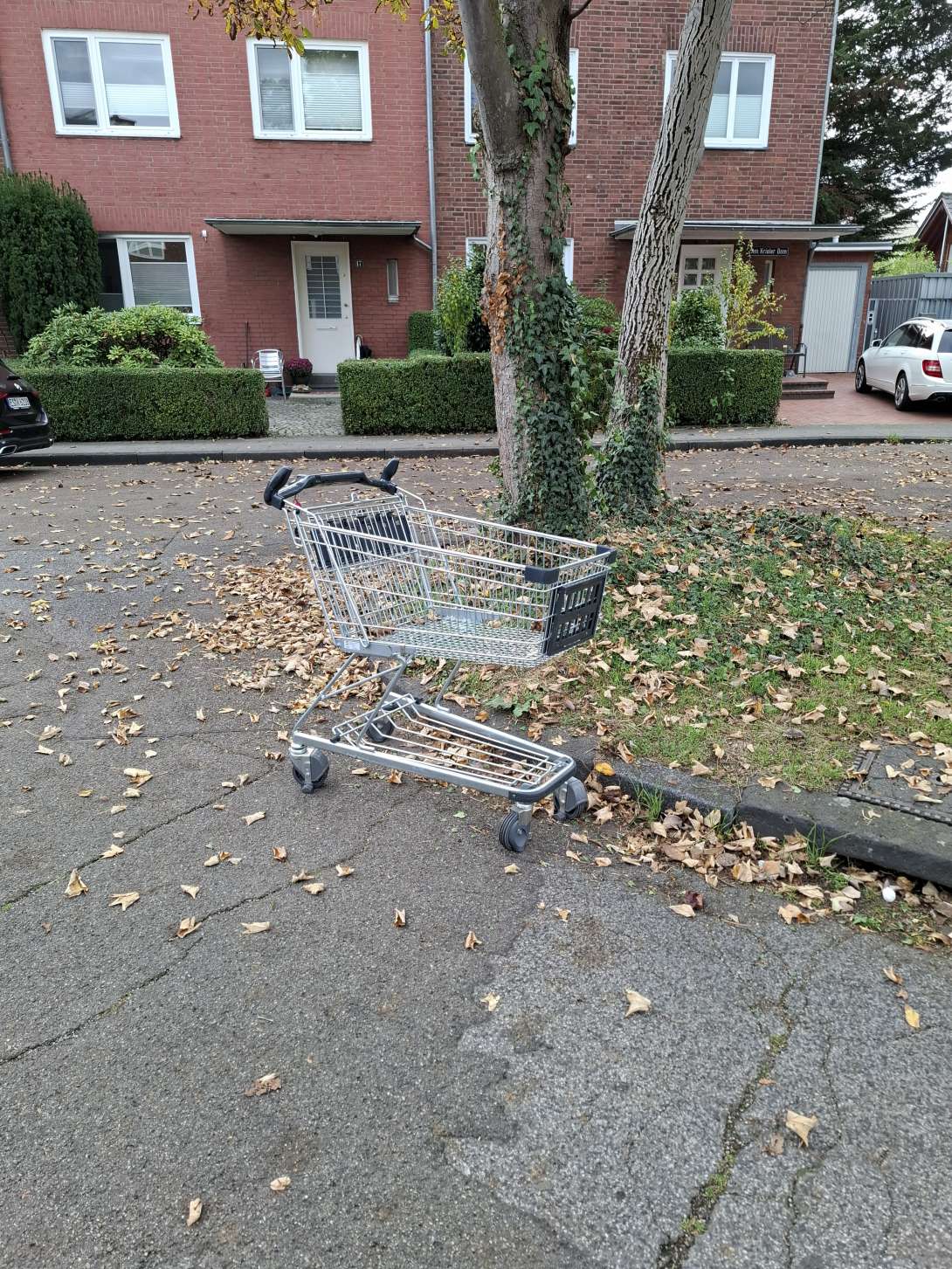 Bild zu gemeldetem Anliegen vom *2025-10-12 15:59:49