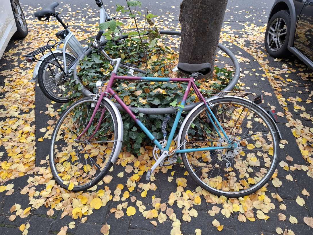 Bild zu gemeldetem Anliegen vom *2025-10-17 09:35:25