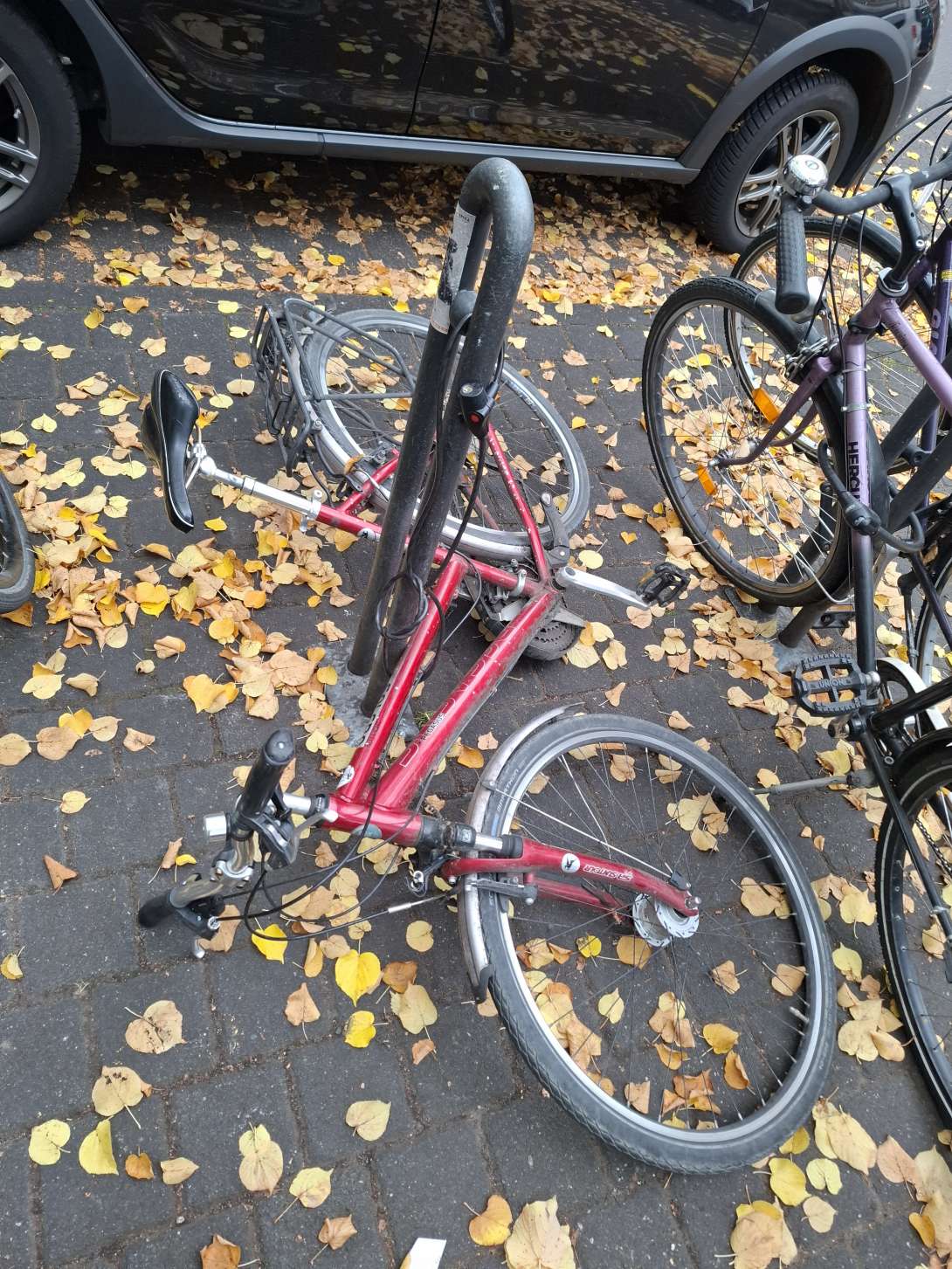 Bild zu gemeldetem Anliegen vom *2025-10-17 11:11:58