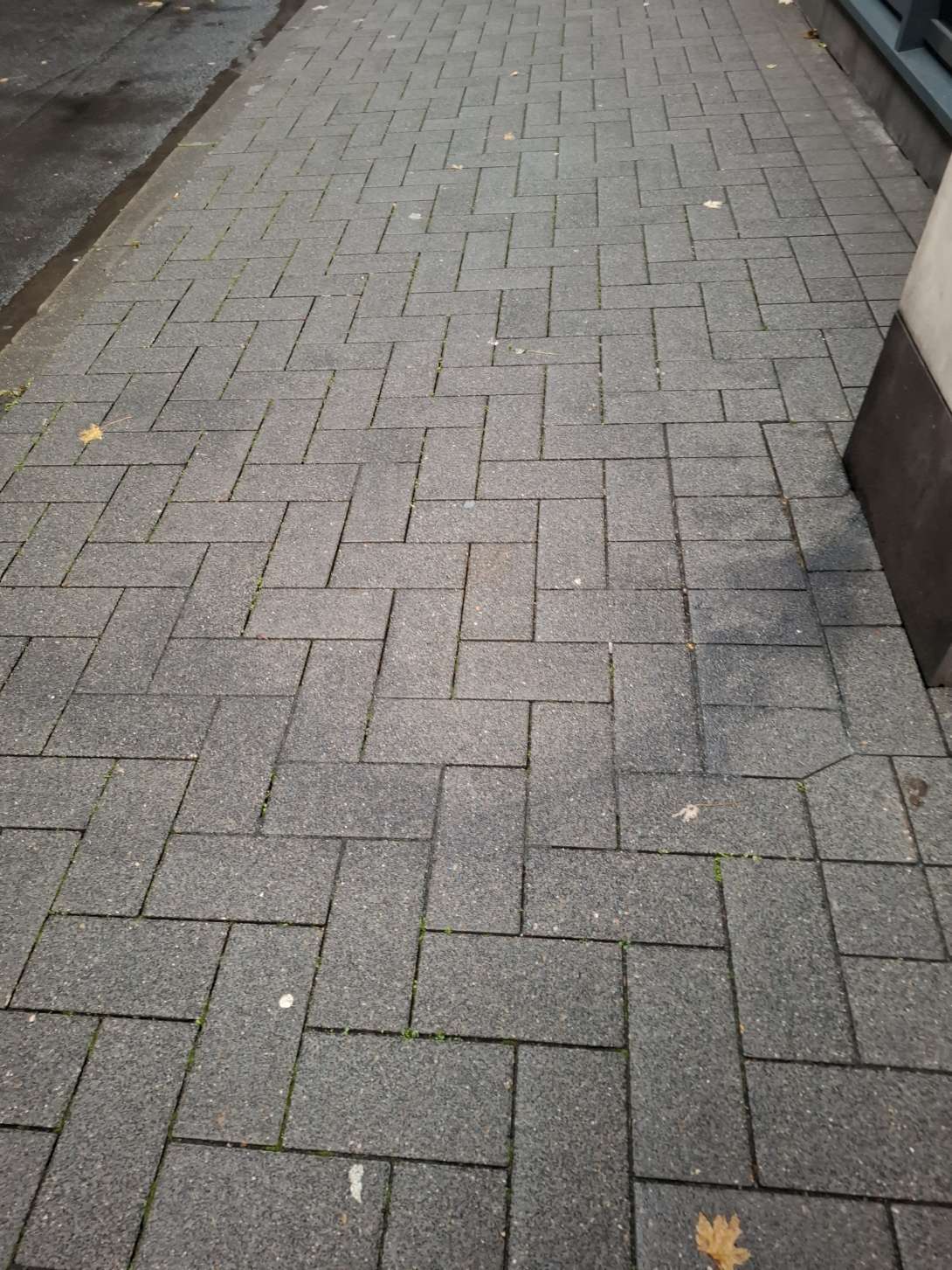 Bild zu gemeldetem Anliegen vom *2025-10-20 08:27:54