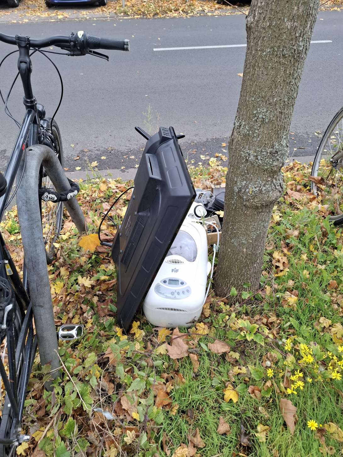 Bild zu gemeldetem Anliegen vom *2025-10-22 08:23:23