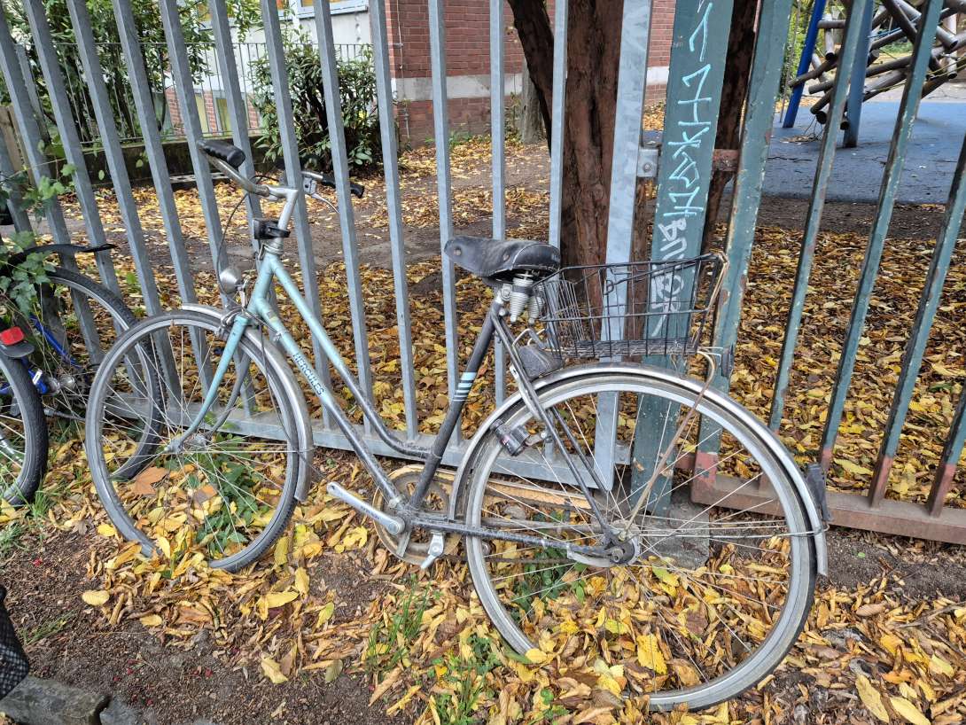  *2025-10-24 Schrottfahrrad am Schulzaun
