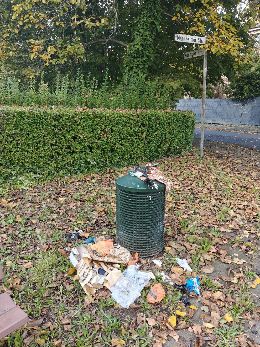 Bild zu gemeldetem Anliegen vom *2025-10-09 14:39:53