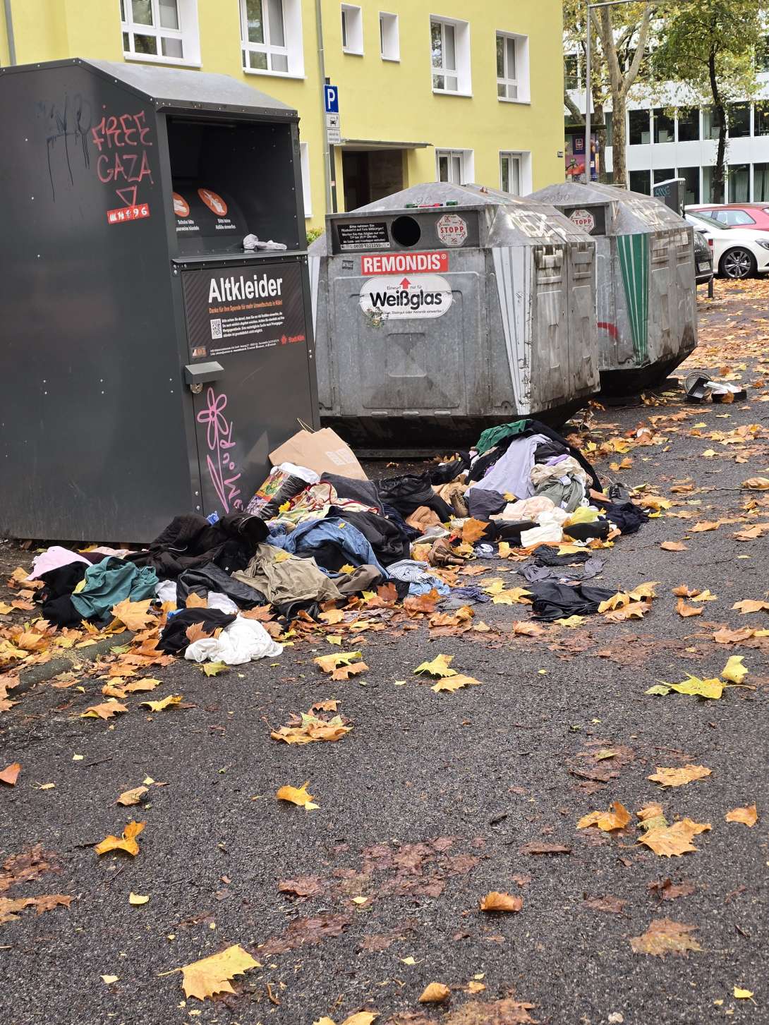 Bild zu gemeldetem Anliegen vom *2025-10-27 12:59:41