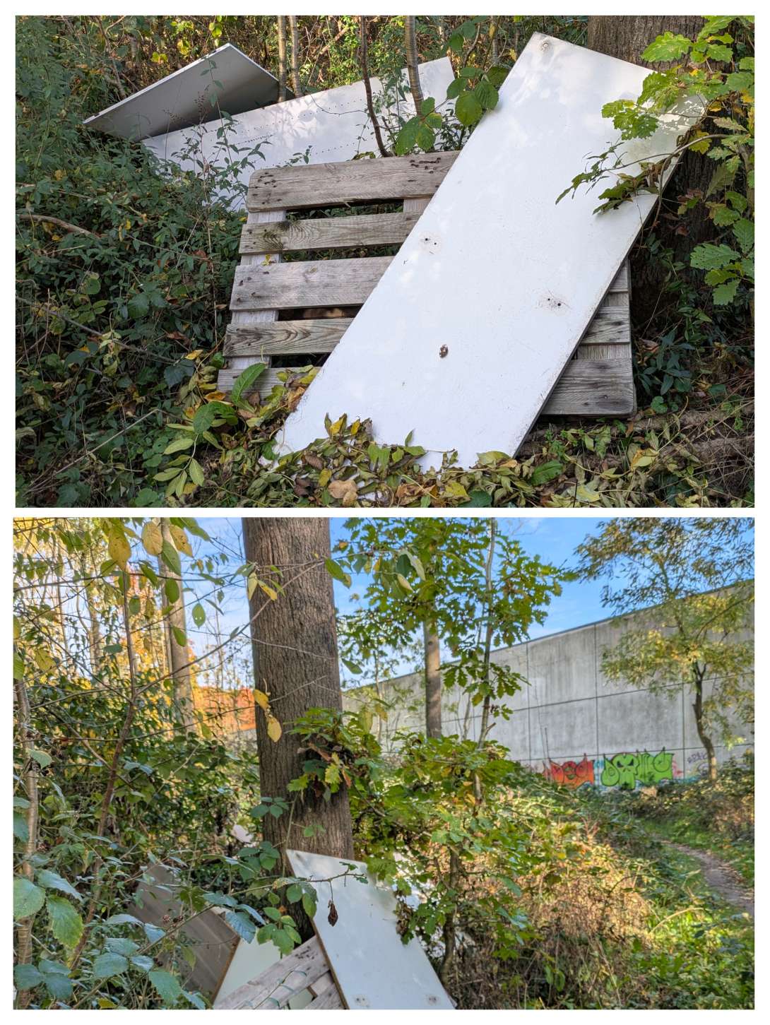 Bild zu gemeldetem Anliegen vom *2025-10-23 10:29:19