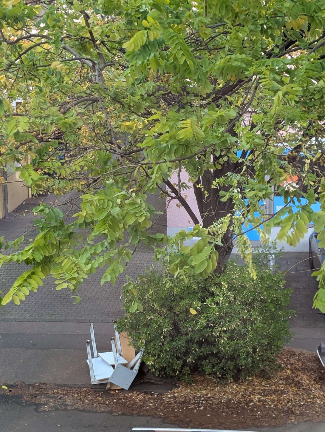 Bild zu gemeldetem Anliegen vom *2025-10-26 12:24:58